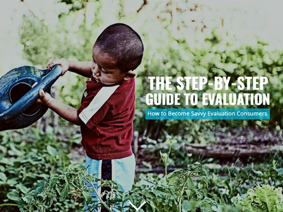 The Step-by-Step Guide to Evaluation cover art